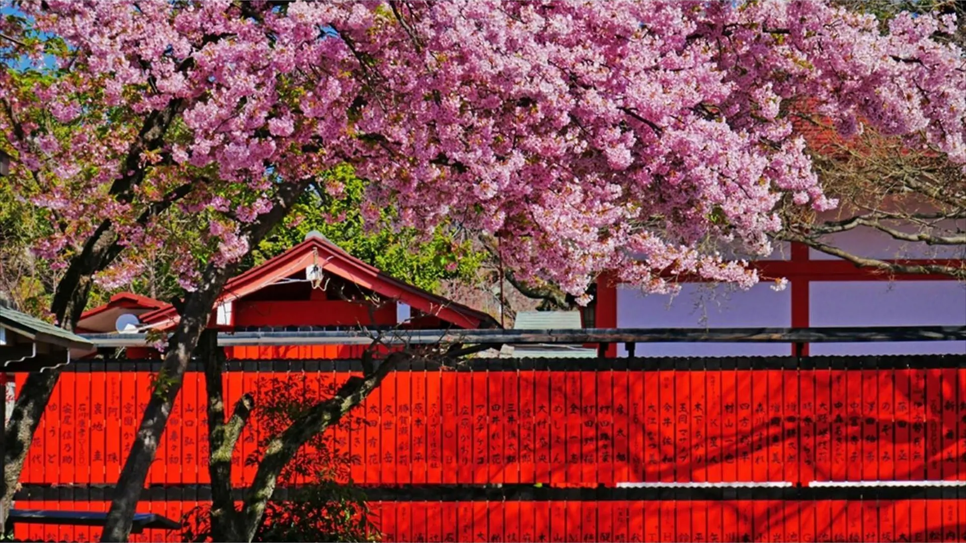 River Side Arashiyama - Vacation Stay 86216V Kyoto Hotel