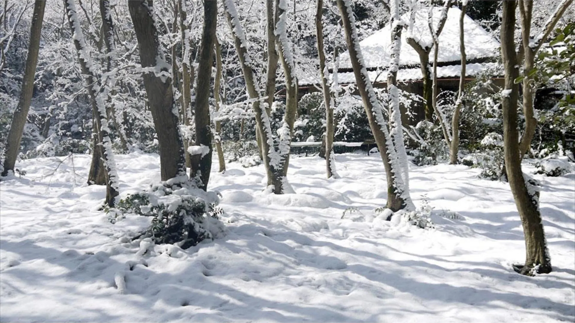 Hotel River Side Arashiyama - Vacation Stay 86216V Kyoto
