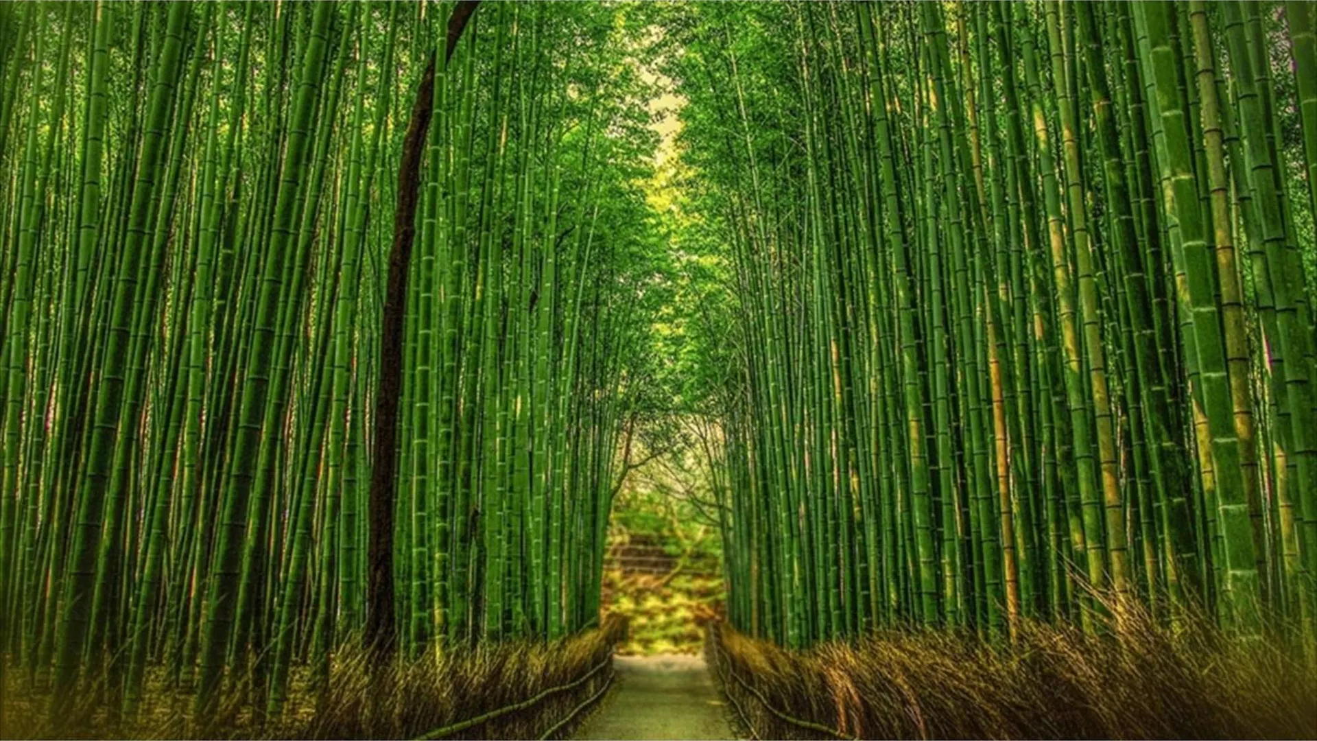 River Side Arashiyama - Vacation Stay 86216V Kyoto Hotel